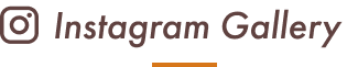 Instagramギャラリー